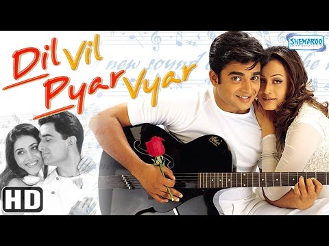 Dil vil pyar vyar